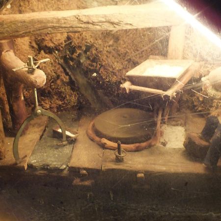 Pensjonat El Recreo De San Martin Sl San Martín de Castañeda Zewnętrze zdjęcie